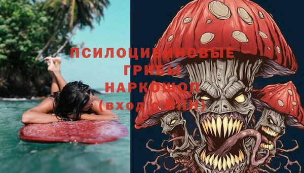 соль ск Бронницы